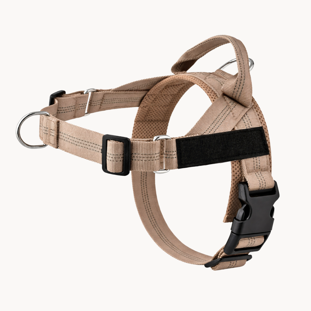 Harnais anti-traction pour chien