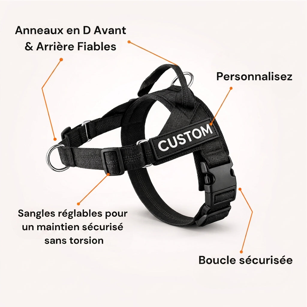 Harnais anti-traction pour chien