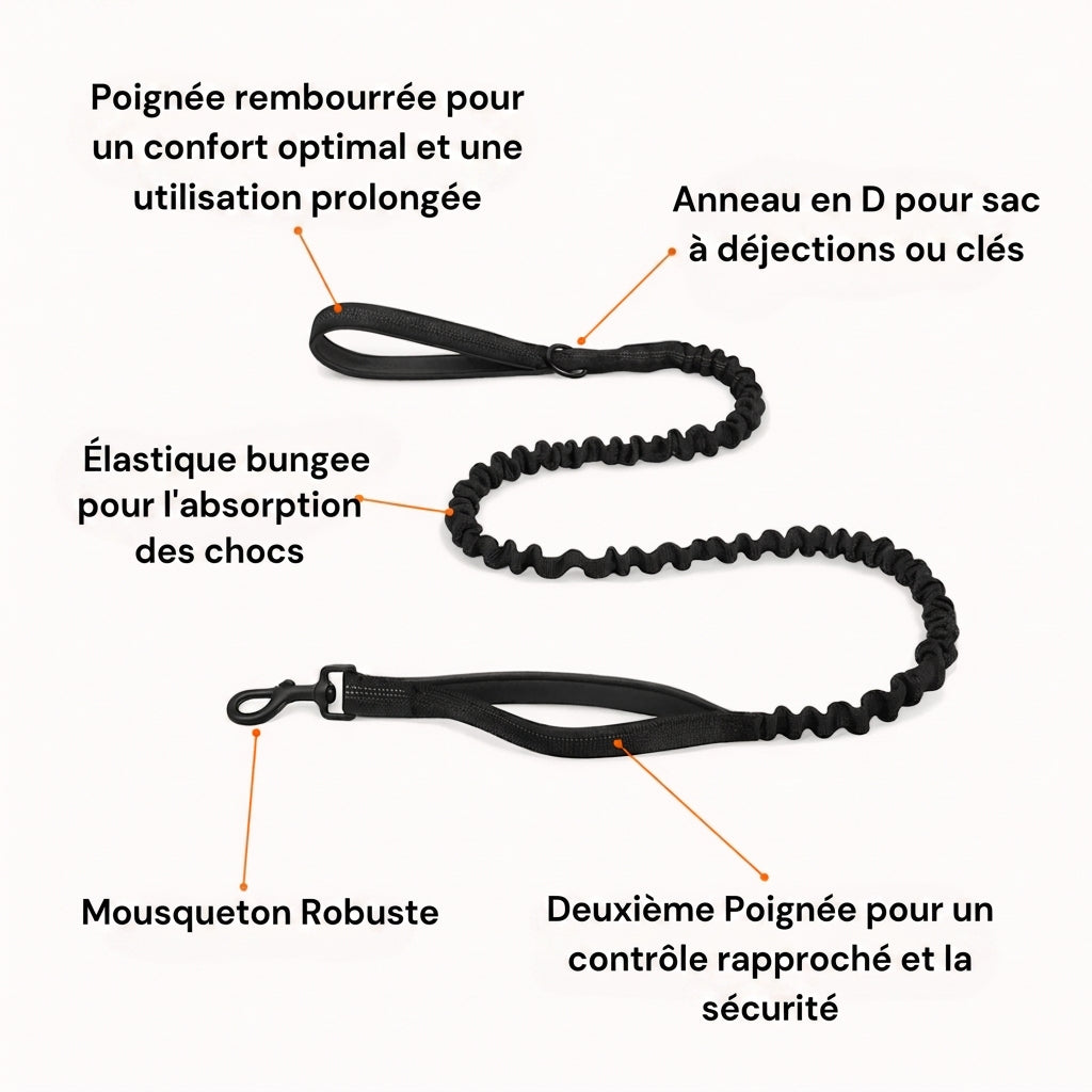 Harnais anti-traction pour chien